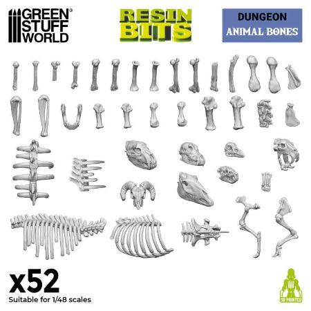 Animal Bones 1:48