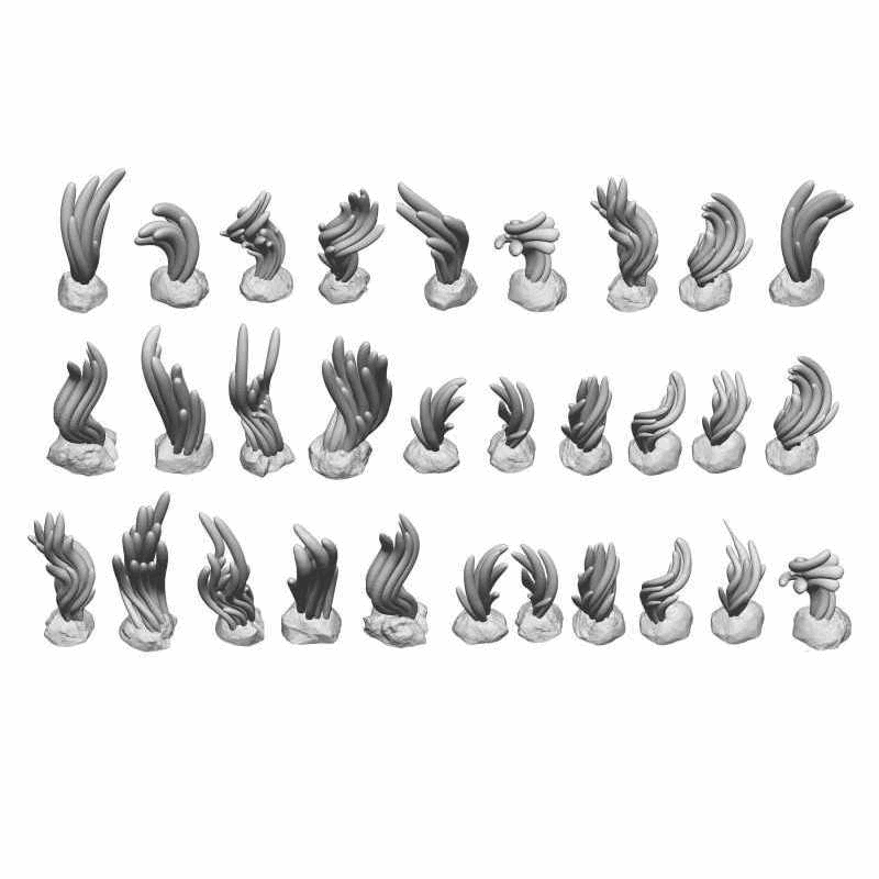 Green Stuff World Seaweed Plants