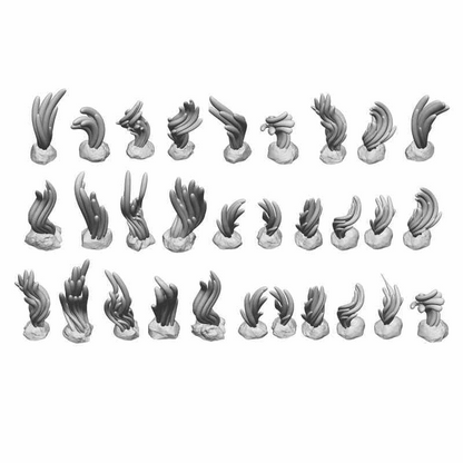 Green Stuff World Seaweed Plants