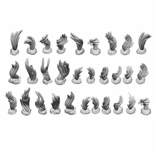 Green Stuff World Seaweed Plants