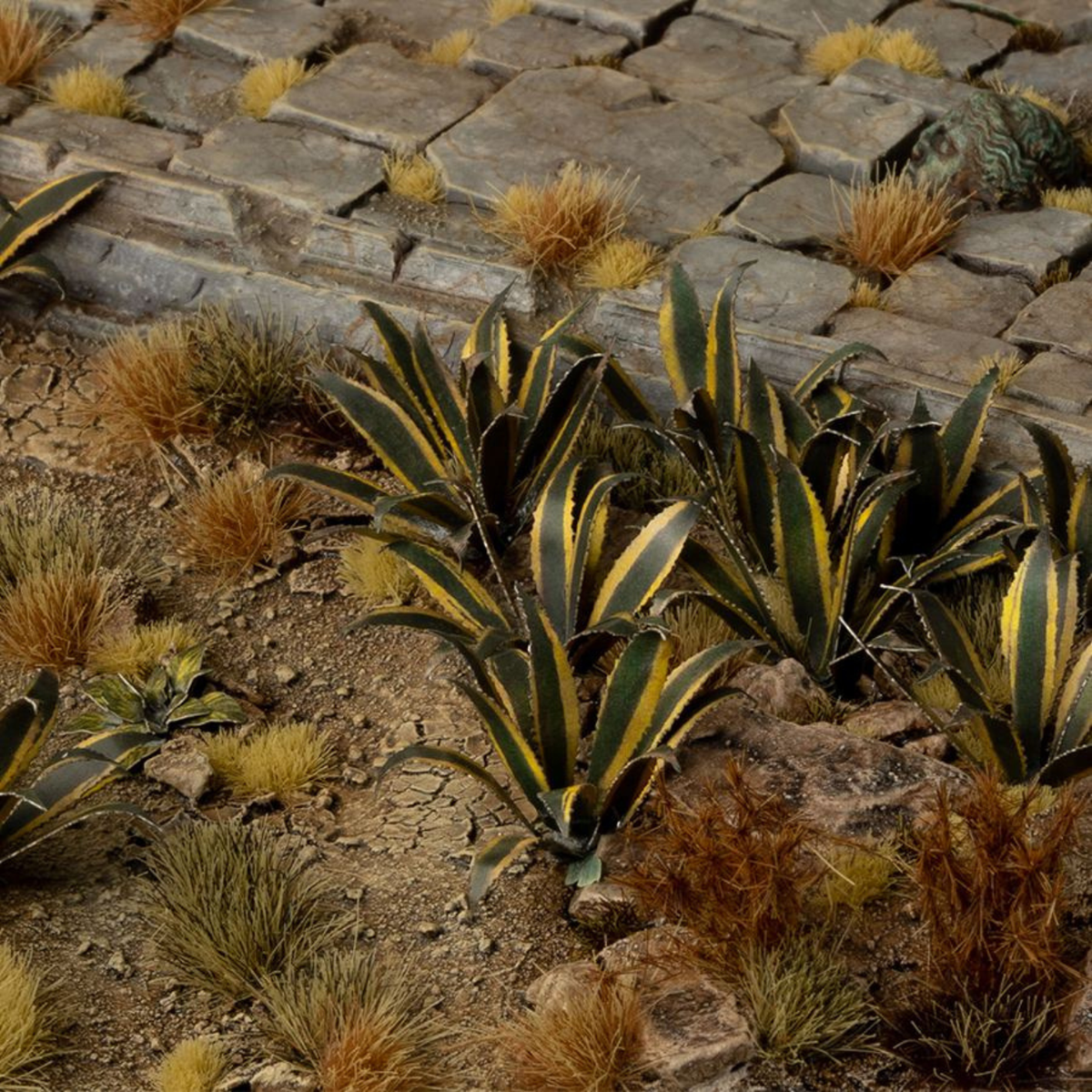Desert landscape with cacti and succulents on a rocky surface