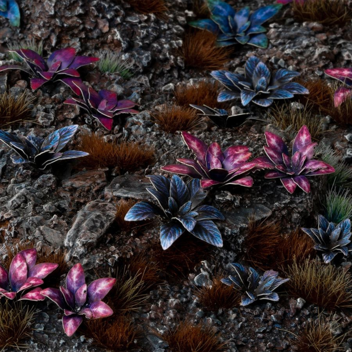 Colorful succulents and cacti on a textured surface
