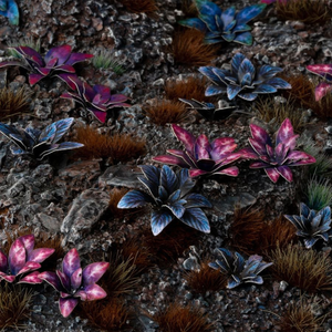 Colorful succulents and cacti on a textured surface