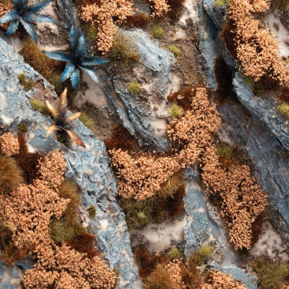Close-up of a rocky surface with brown lichen