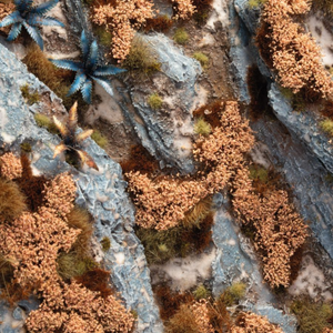 Close-up of a rocky surface with brown lichen