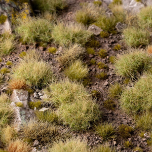 A close-up view of low, tufted grasses growing in rocky, earthy soil with small stones and moss.