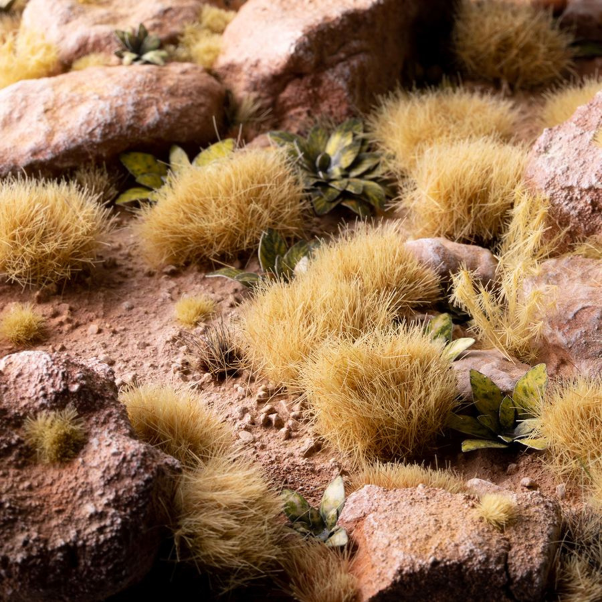 Close-up of a desert landscape with rocks and small green plants.