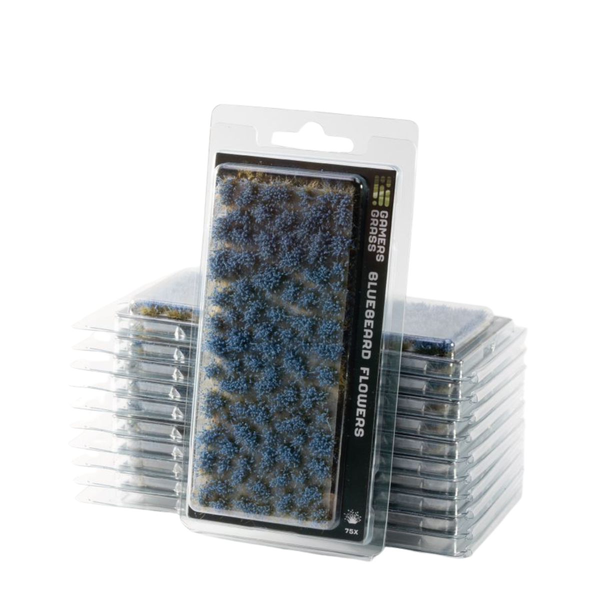Gamers Grass Bluebeard Flowers