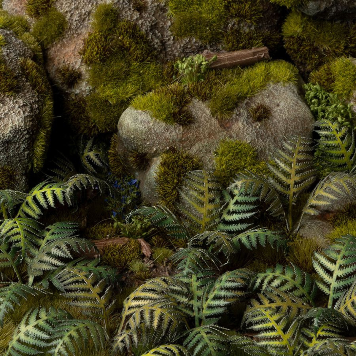 Close-up of a forest floor with moss, ferns, and small twigs