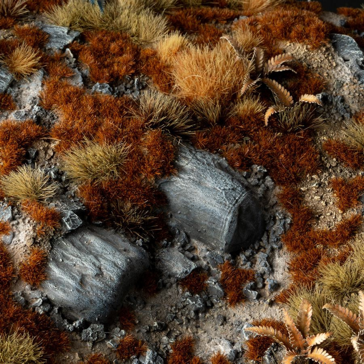 Close-up of a rocky surface with brown and green grasses