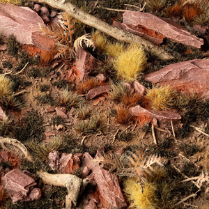 Close-up of a natural landscape with rocks, grass, and twigs.