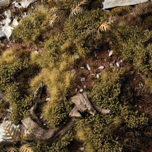 Close-up of a natural setting with green moss, brown leaves, and small rocks.
