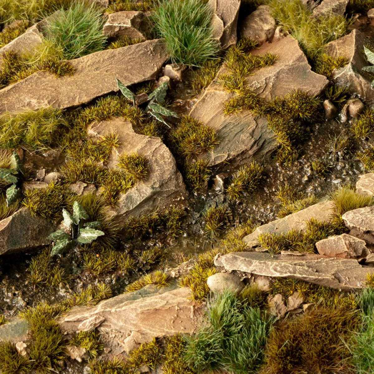 Rocks and greenery in a natural setting