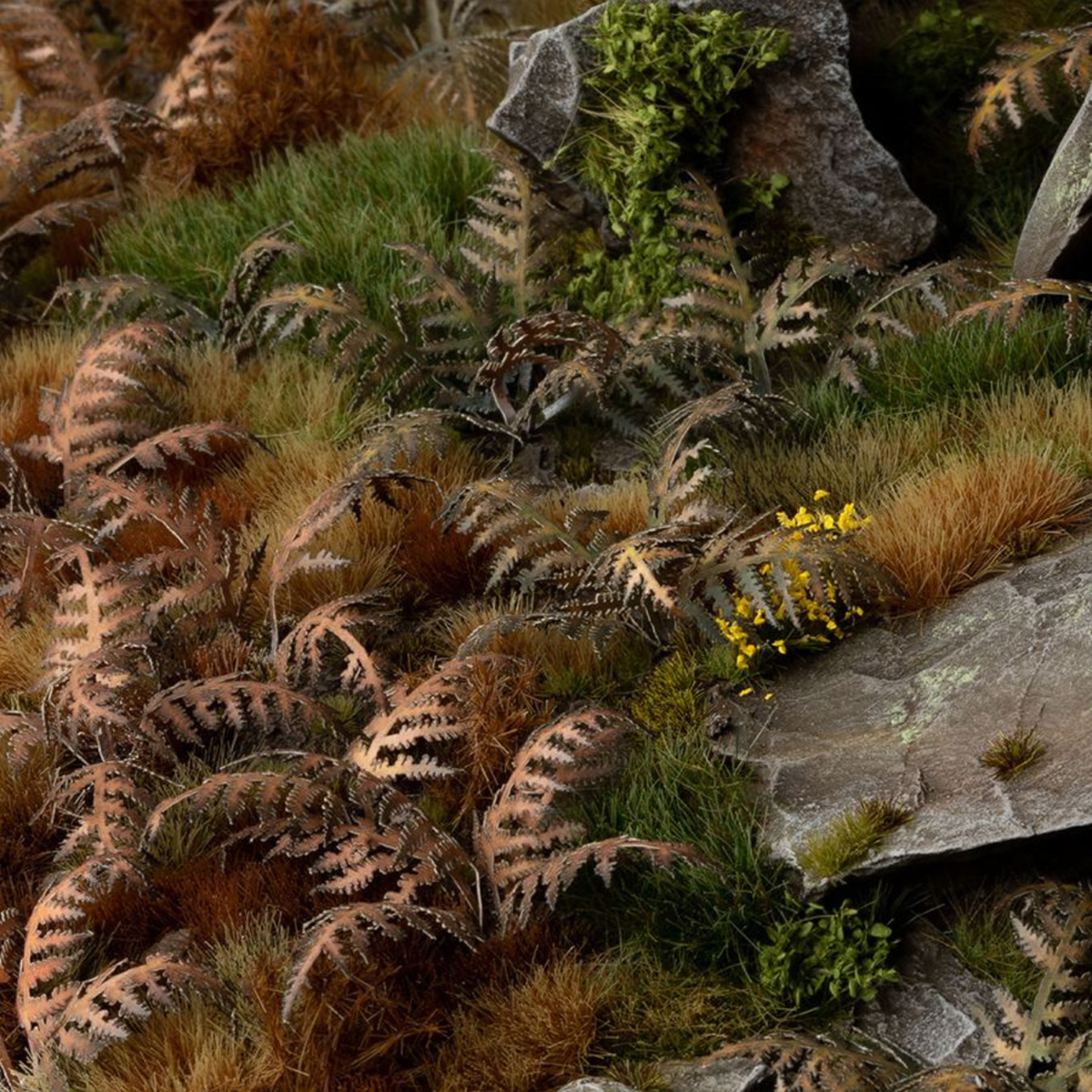 Close-up of a natural landscape with ferns, grass, and rocks.