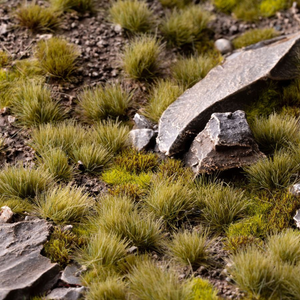 Close-up of grass and rocks in a natural setting