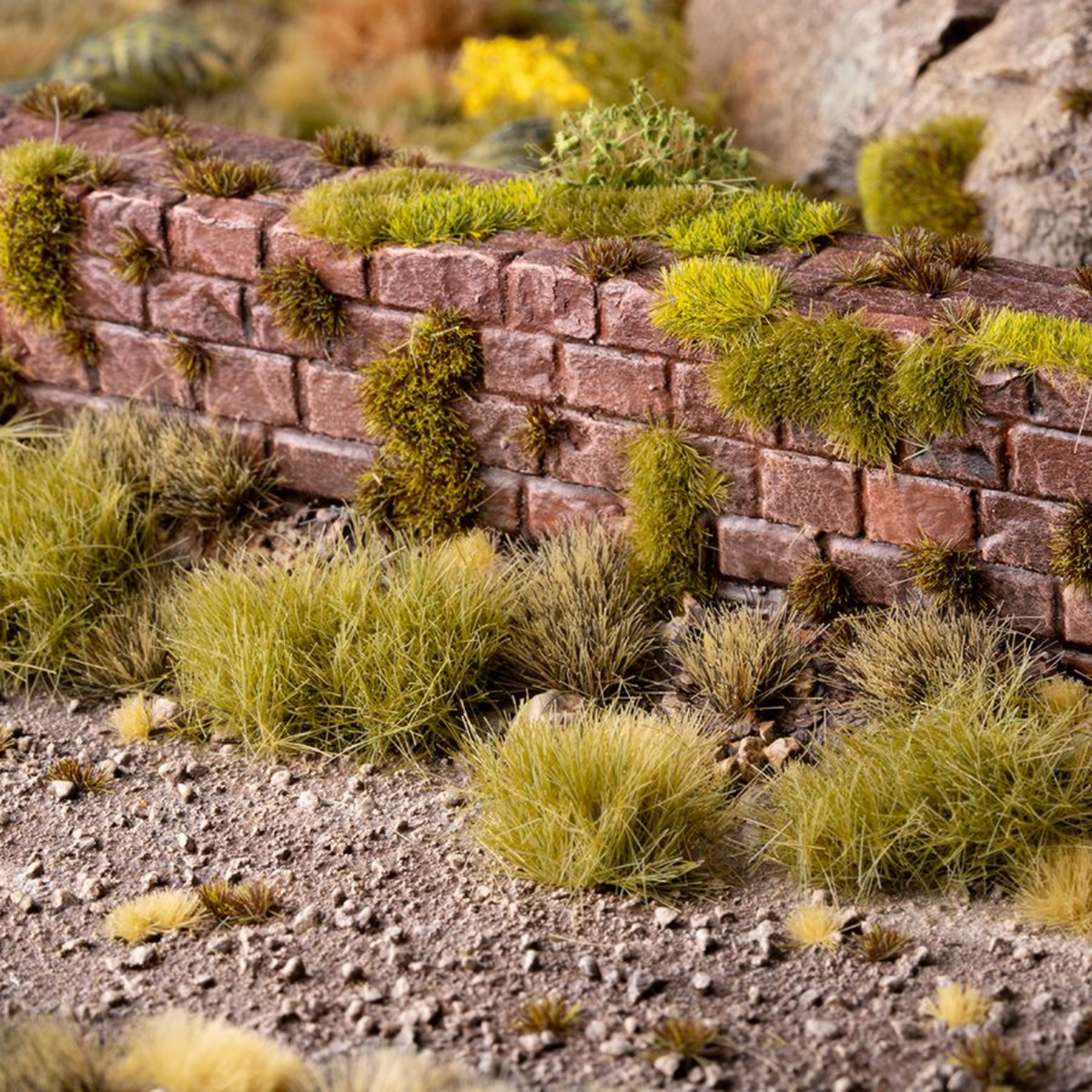 Brick wall with greenery growing on it in a natural setting