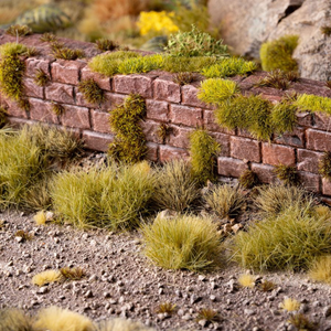 Brick wall with greenery growing on it in a natural setting