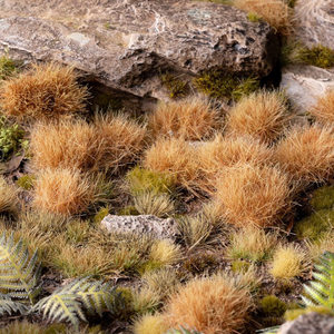 Close-up of dry grass and rocks in a natural setting