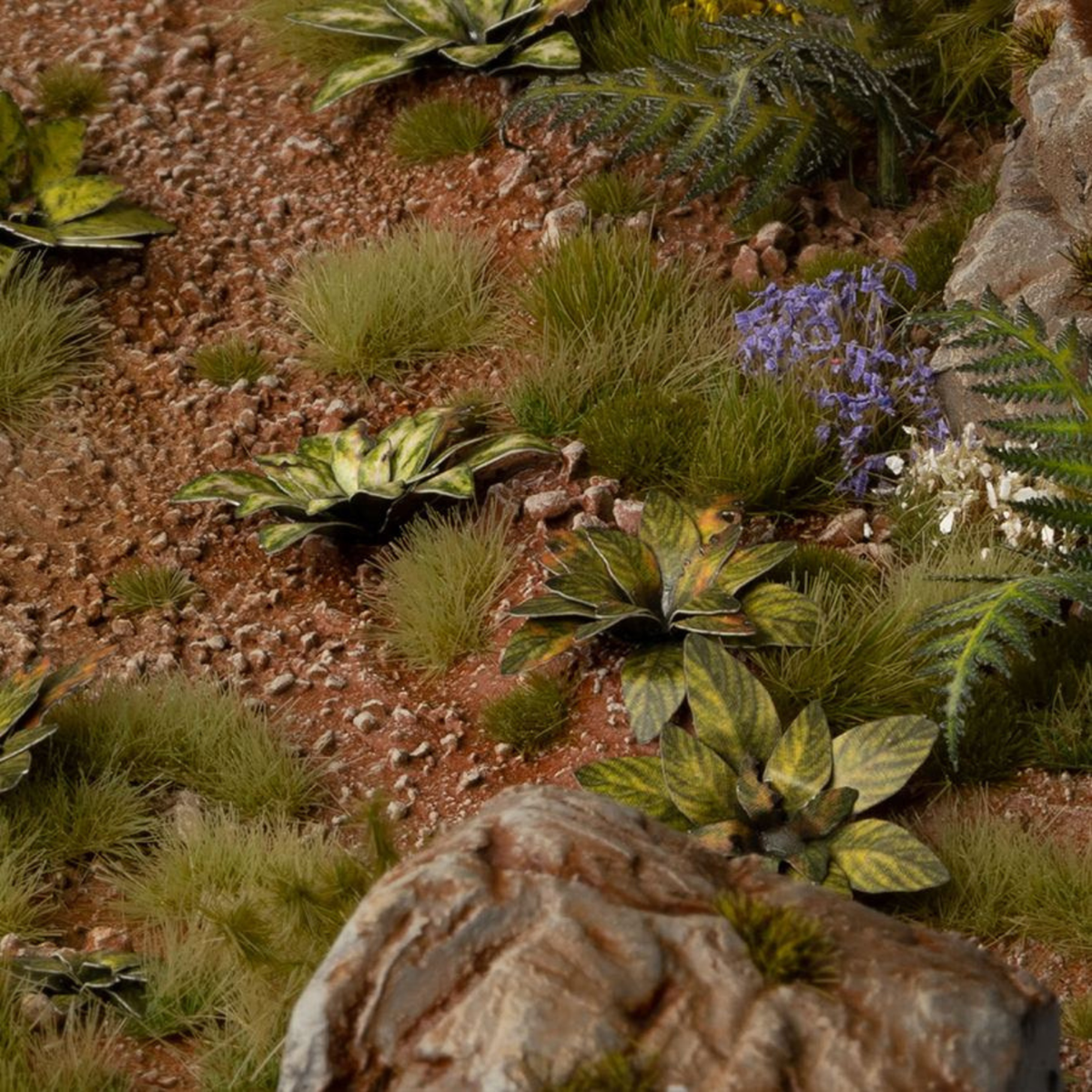 Diverse plant life including succulents and a purple flower in a rocky garden setting.