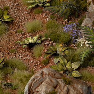 Diverse plant life including succulents and a purple flower in a rocky garden setting.