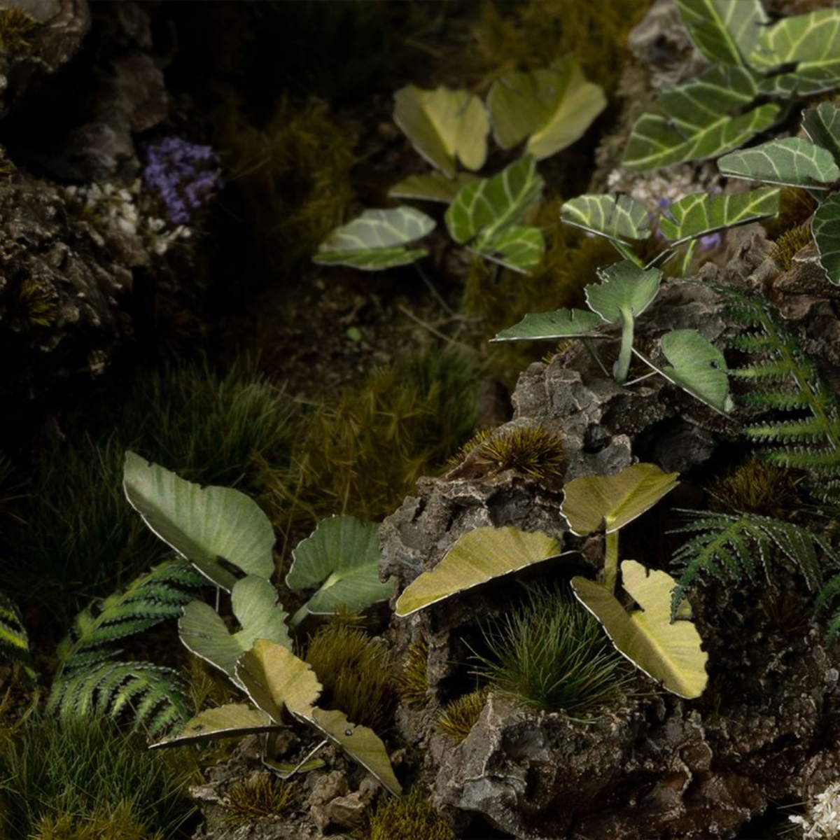 Close-up of a natural setting with green plants and rocks