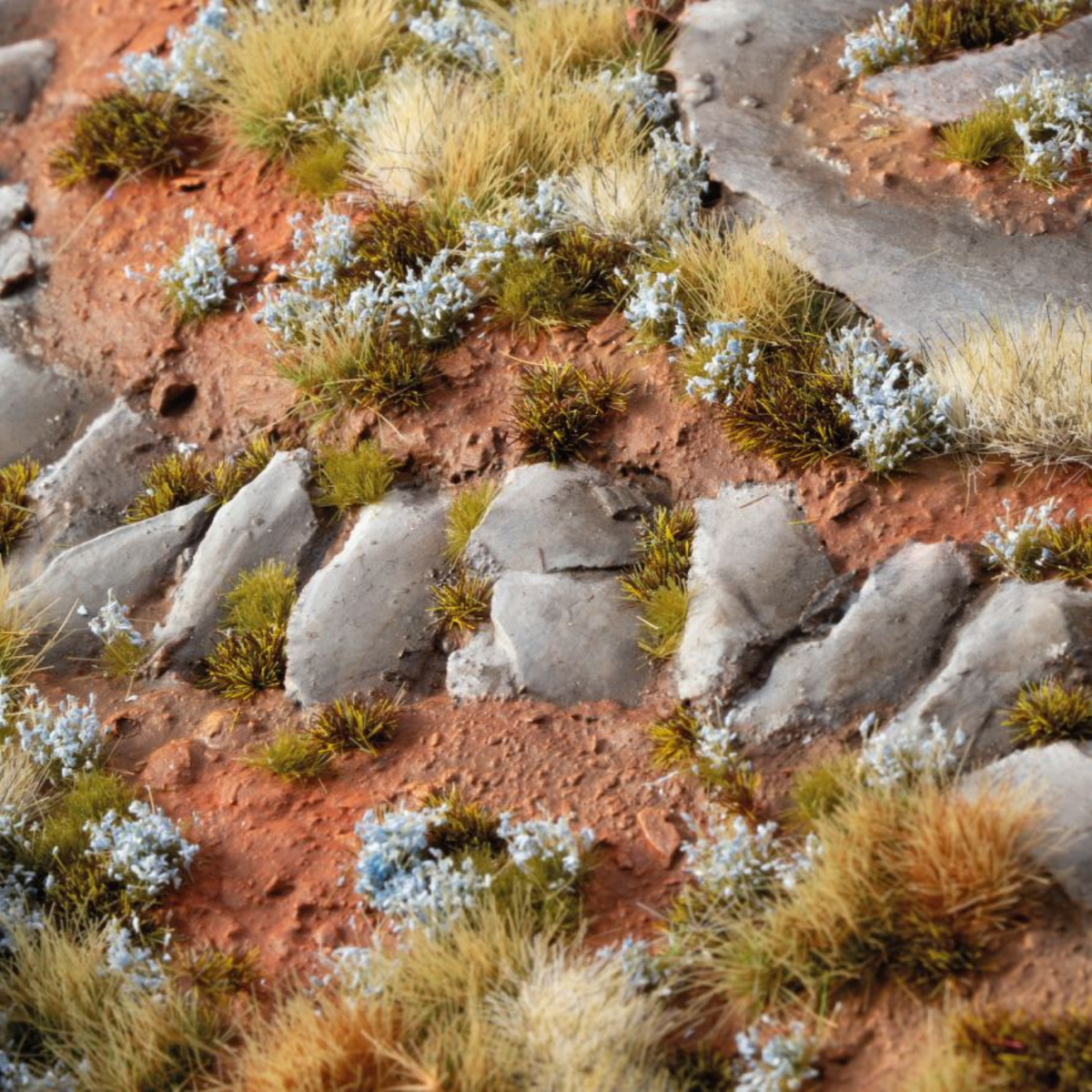 Rocky landscape with small plants and flowers in a desert-like setting
