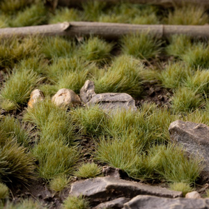 Naturalistic miniature grasses and small rocks arranged to simulate a forest floor or outdoor ground cover scene.