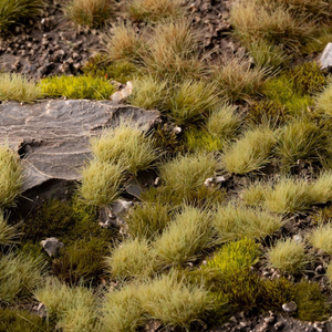 Close-up of grass and rocks in a natural setting