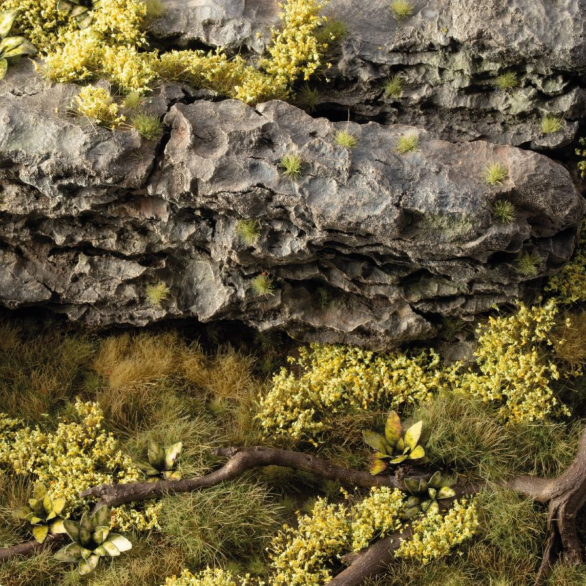 Rocky terrain with greenery and moss