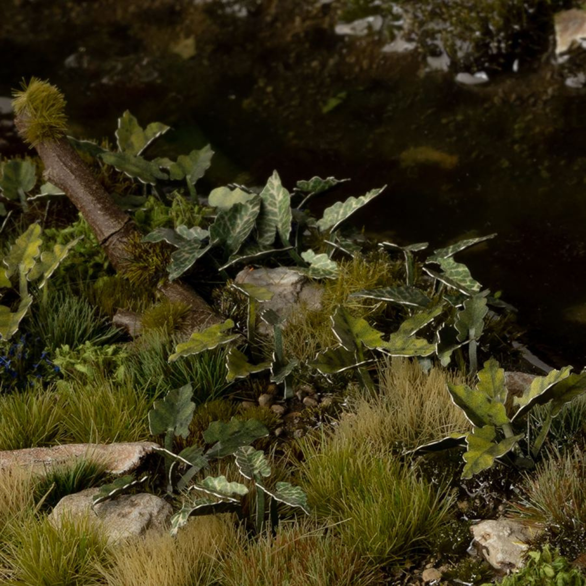 A close-up of a natural outdoor scene with green and silver-veined leaves, grasses, moss, rocks, and a dark muddy or water-like background.