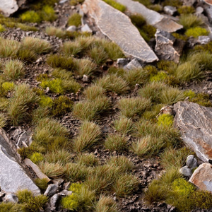 A close-up of low tufts of grass and moss growing between large gray rocks and stones on a rocky, earthy surface.