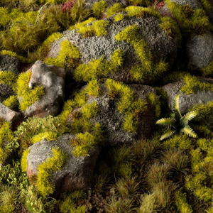 Close-up of moss-covered rocks and plants