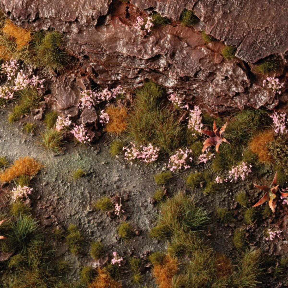 Close-up of a rocky surface with patches of grass and small flowers