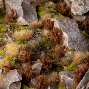 Close-up of rocky terrain with grass and small plants