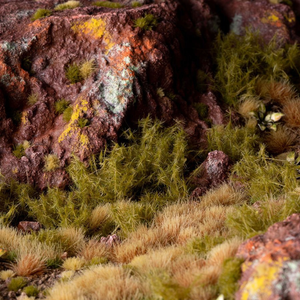 Close-up of a rocky landscape with green moss and lichen
