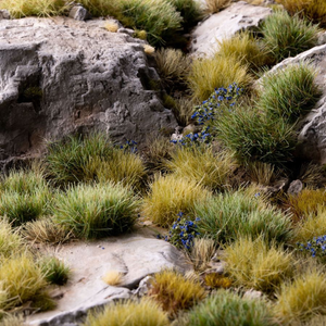 Rocky terrain with grass and small flowers