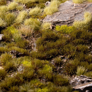 Mossy ground with rocks and grass in a natural setting