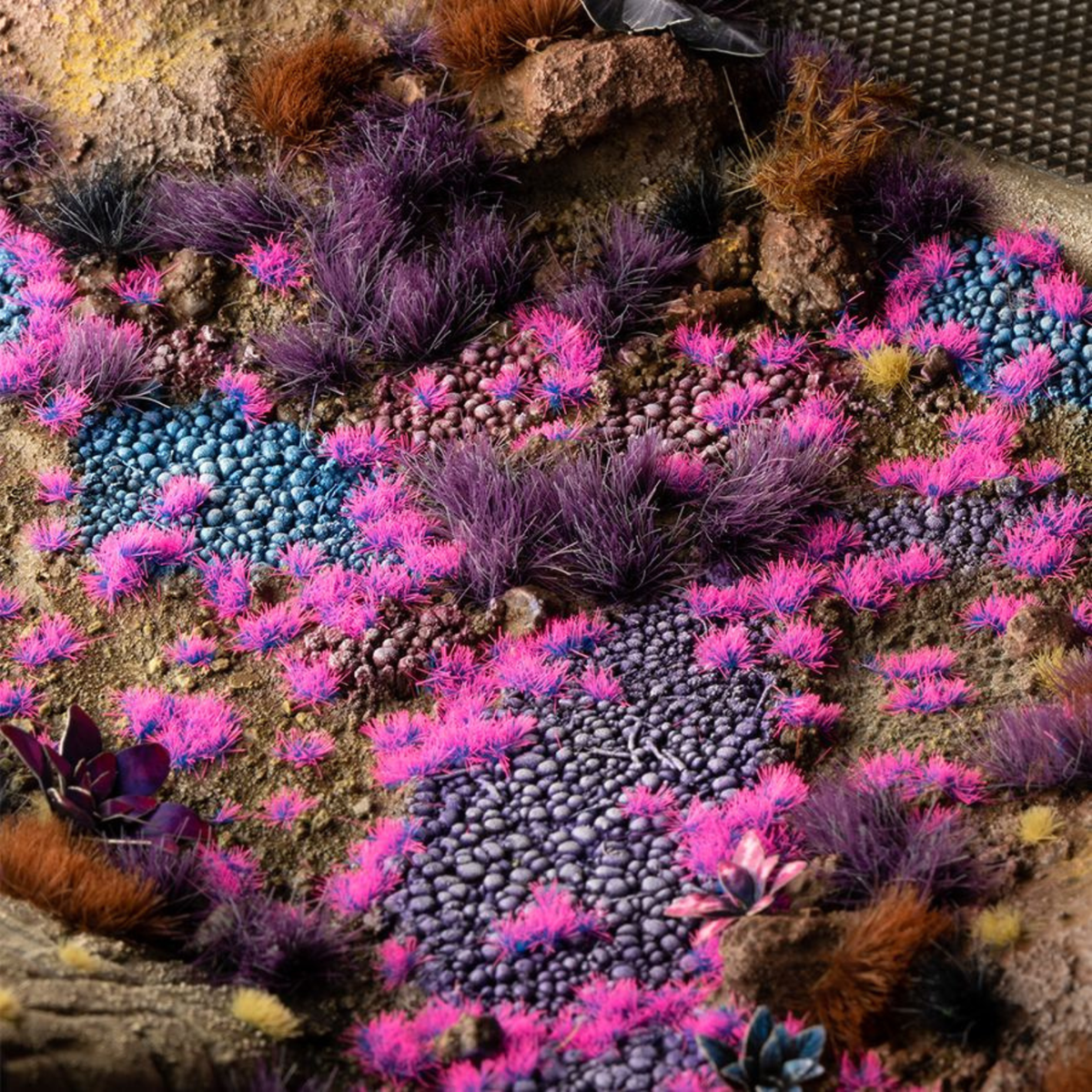 Colorful succulent garden with pink, purple, and blue plants on a stone surface.