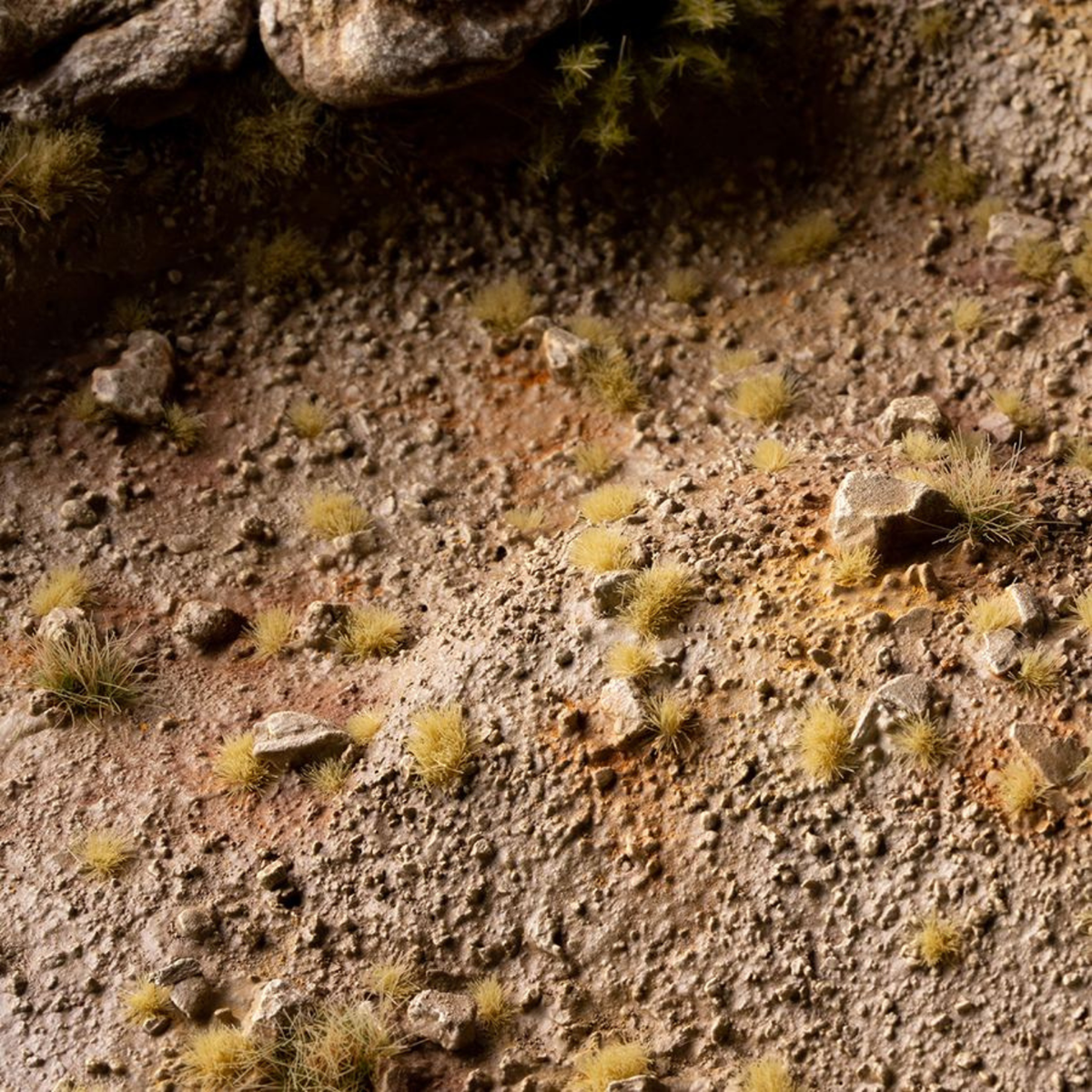 Close-up of a rocky surface with small plants growing on it