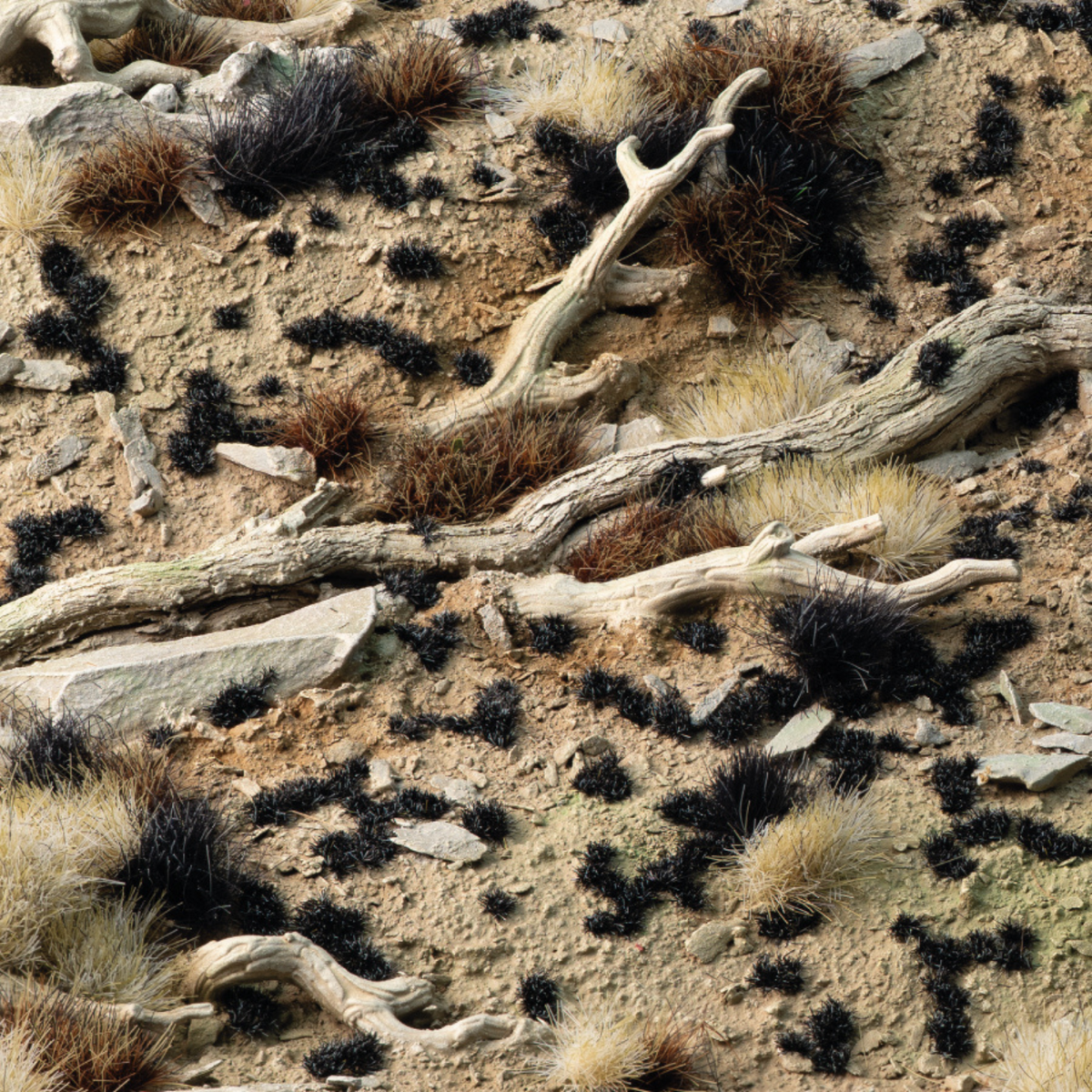 Desert landscape with dry vegetation and a fallen tree branch.