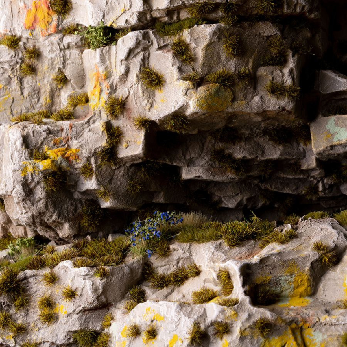Close-up of a rocky cliff face with patches of greenery