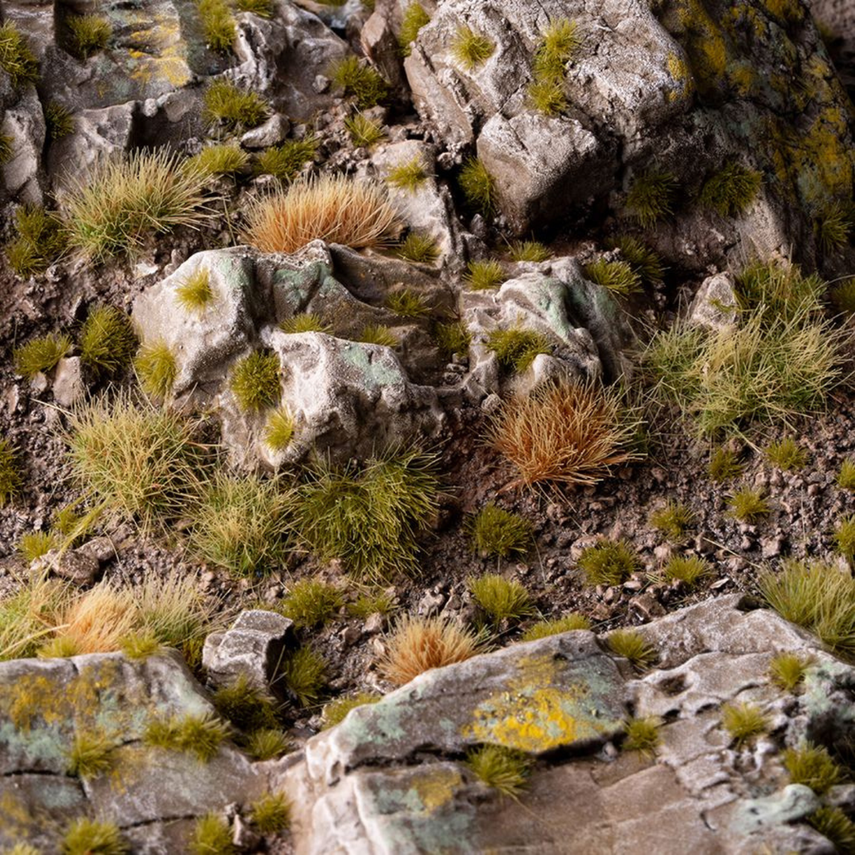 Close-up of rocky terrain with sparse grass and moss