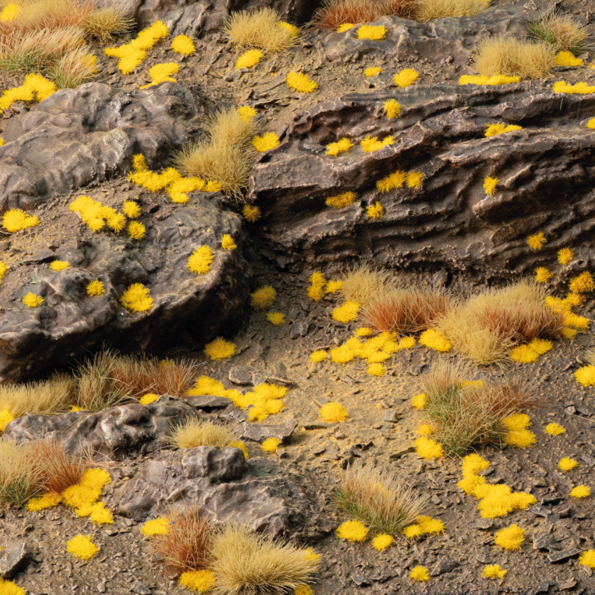 Yellow flowers growing among rocky terrain