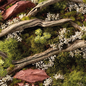 Mossy surface with fallen branches, green leaves, and white flowers