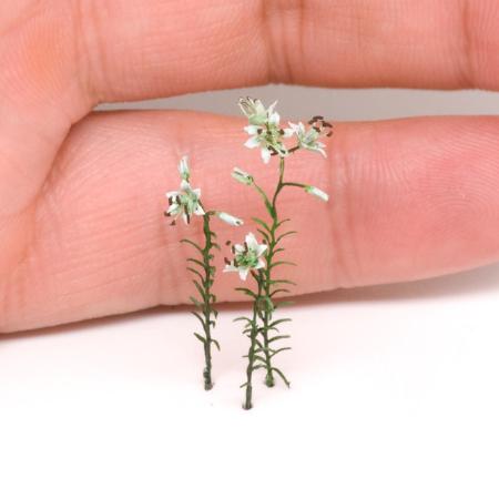 plants metal-lily size m
