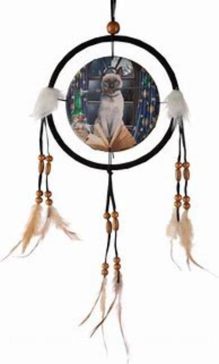 Lisa Parker Dreamcatcher Cat with book