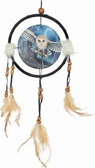 Lisa Parker Dreamcatcher Owl