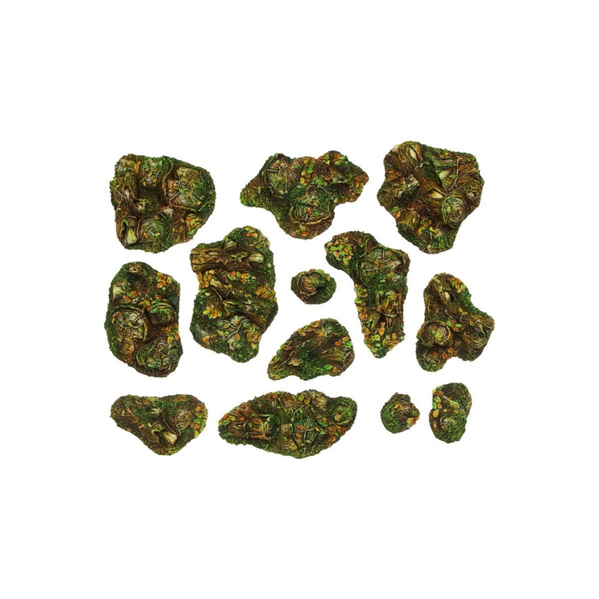 Green herbal buds on a white background