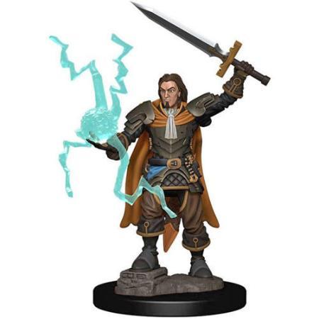 Pathfinder Battles Premium Painted Figure: W1 Male Human Cleric