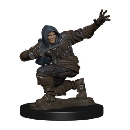 Pathfinder Battles: Premium Painted Figure - Human Rogue Male